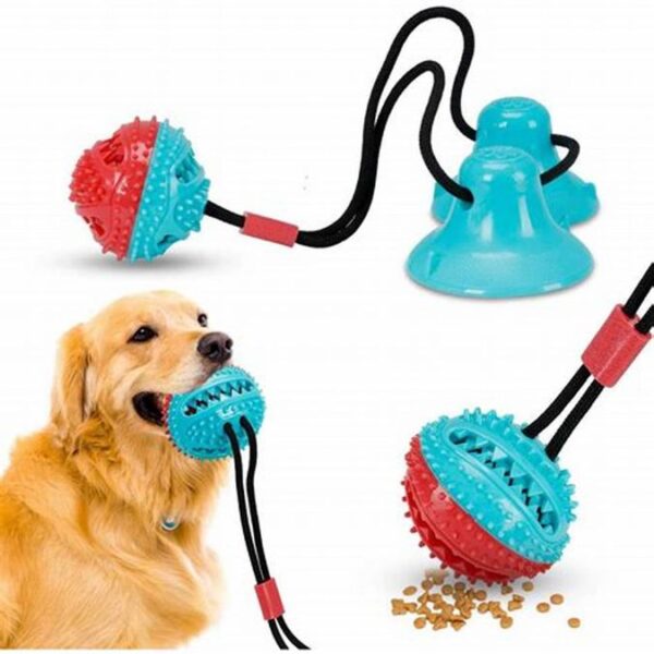 Juguete interactivo para perros con pelota texturizada, cuerda elástica y ventosa.