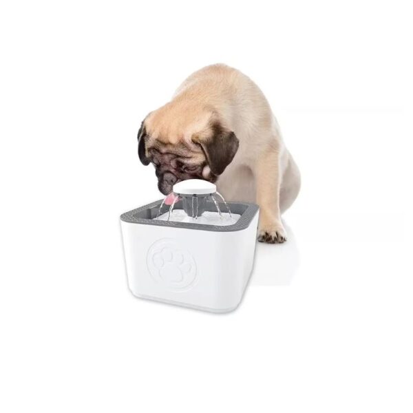 Cachorro de Pug bebiendo de un dispensador automático de agua con fuente para perros pequeños Catlike Store.