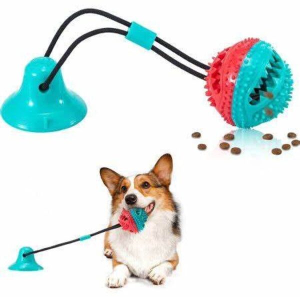 Juguete interactivo para perros Corgi con ventosa, pelota texturizada dispensadora de comida y cuerdas elásticas.