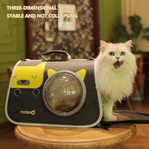 gato dentro de maleta para mascotas pequeñas con ventana de burbuja y flujo de aire